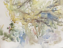 Nature 1-1