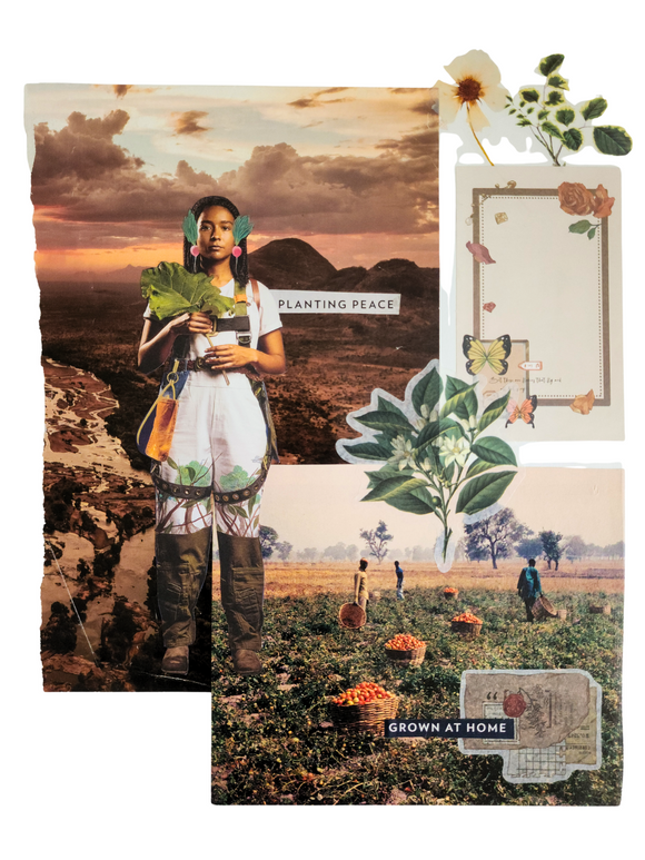 Dutch Pot in Diaspora: Planting Peace