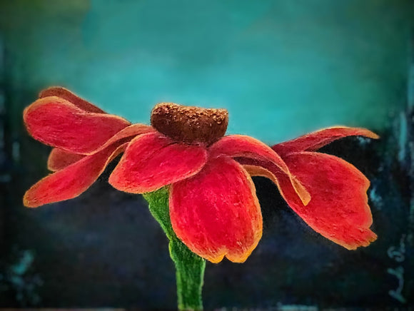 Crimson Embrace