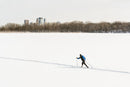 366 Things I Love: February 3 (Minneapolis)-1