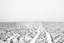 Intersection (Minnesota)-1