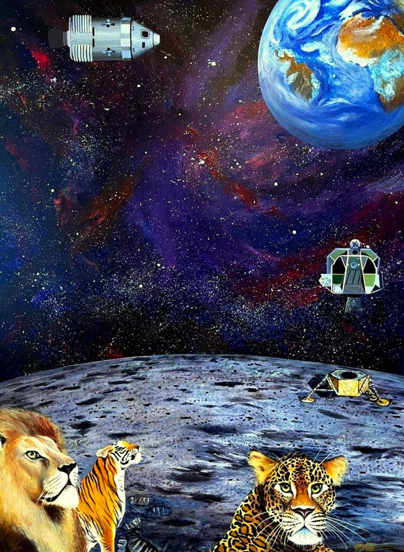 The Cat's Eye View