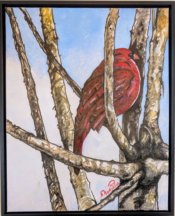 Cardinal Love