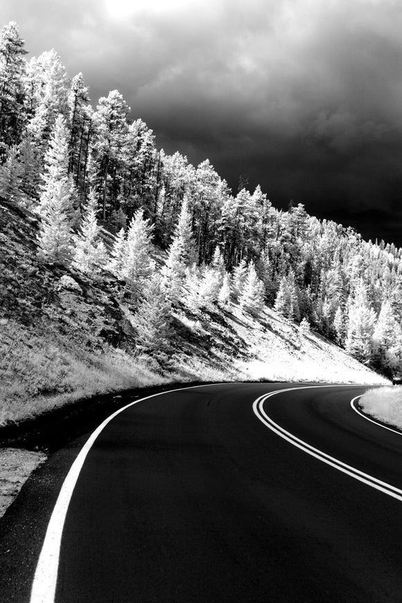 Pine Edged Road