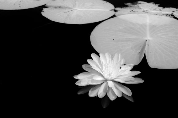 Floating Solo