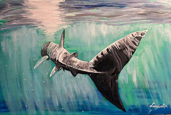 Shark Power