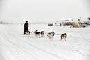 The Runway-1