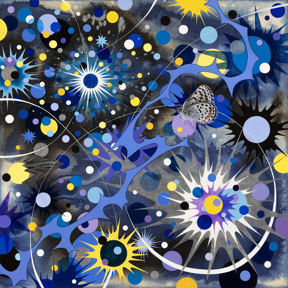 In Starlight, (Bauer's dotted-blue butterfly)