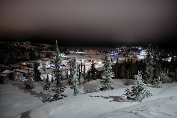 Night Life