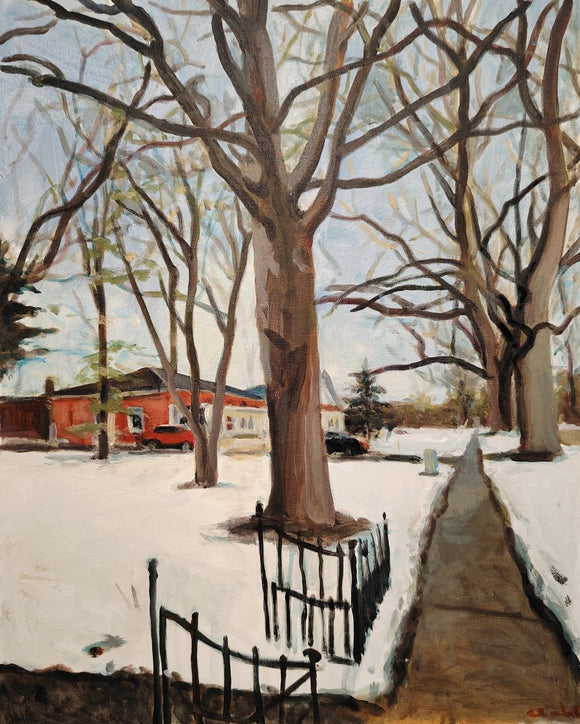 The Quiet Beauty of Bare Trees