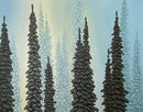 Boreal Study-1