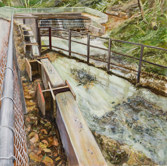 The engineered disappearance of a living creek