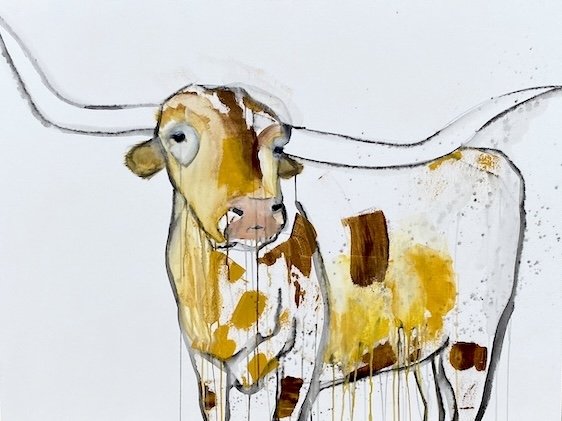 Longhorn cow