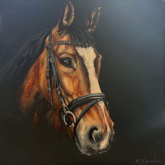 Bridled Beauty