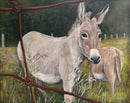 The Welcoming Committee (Miniature Donkeys)-1