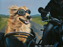 Life in the Fast Lane-1