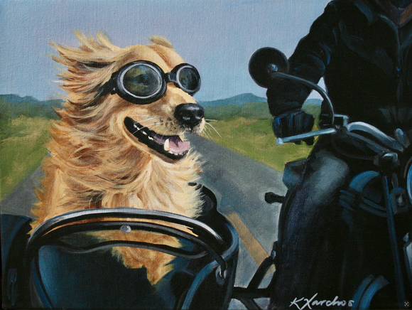 Life in the Fast Lane