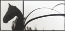 Horse Arcs-1