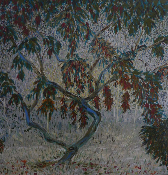 Japanese Maple