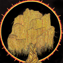 Eclipsed Weeping Willow-1