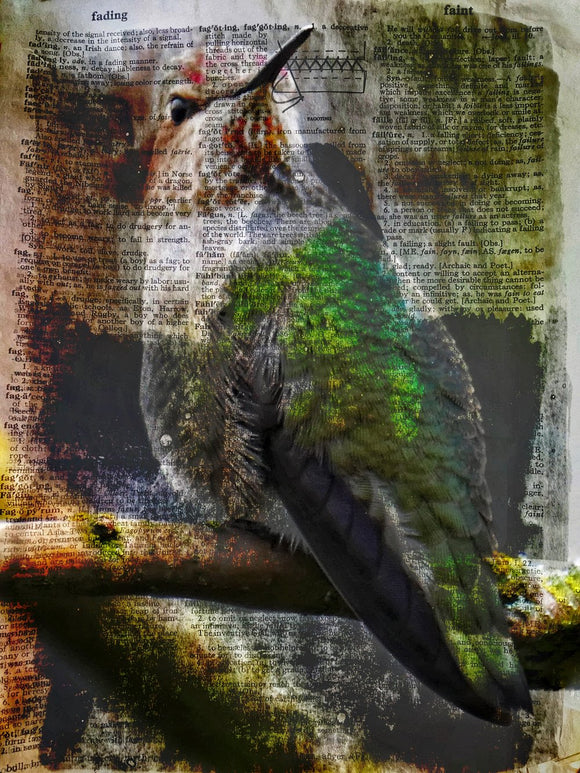 Dictionary Bird