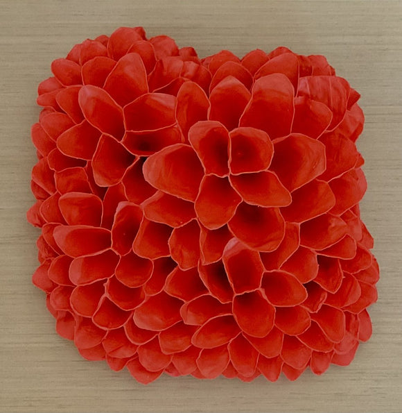 Orange coral