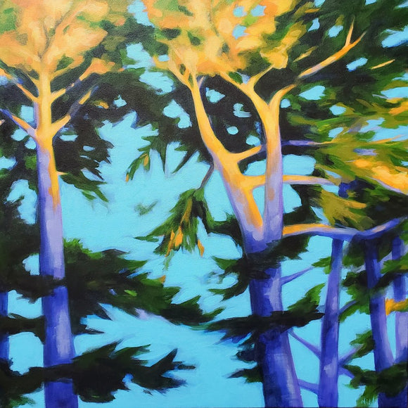 Coastal Trees