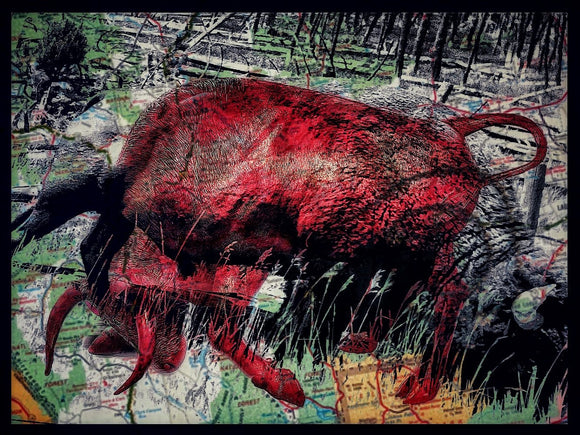 Red Map