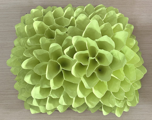 Chartreuse coral
