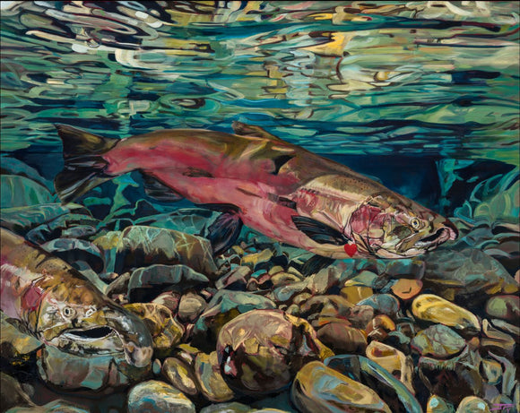 Salmon Run