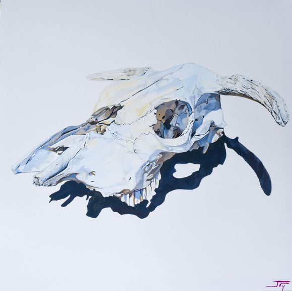 Bull Skull