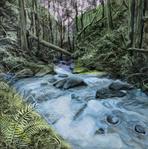 Winter day on kulla kulla Creek