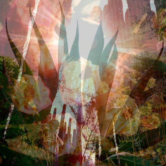 SLIDE 1 | NATURE'S CHAOS