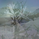 SLIDE 2 | NATURE'S CHAOS-1