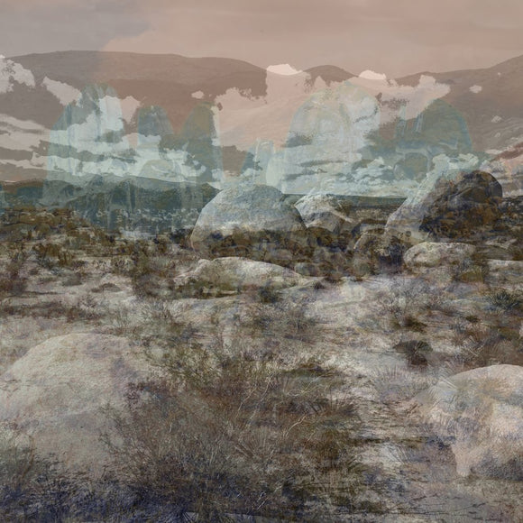 SLIDE 5 | NATURE'S CHAOS
