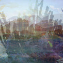 SLIDE 6 | NATURE'S CHAOS-1