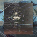 Without Reason-1