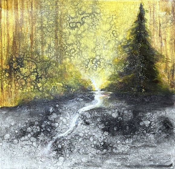 Path to the edge of the forest