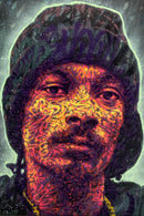 Snoop-1