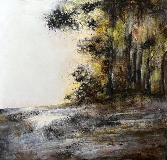 Edge of the wood