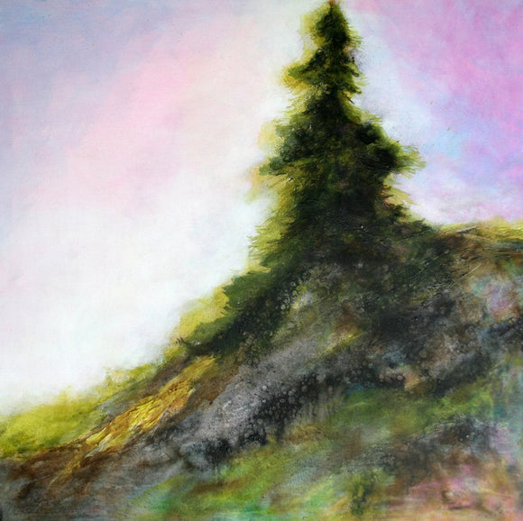 Pine Beauty