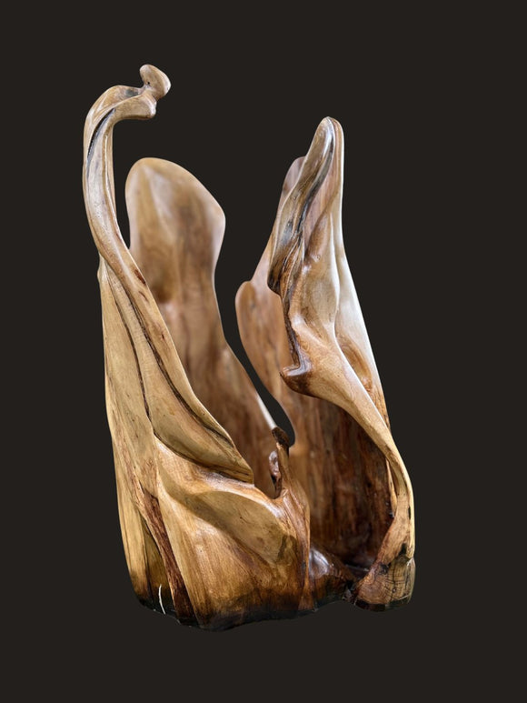 Fluid