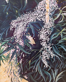 Elderberry-1