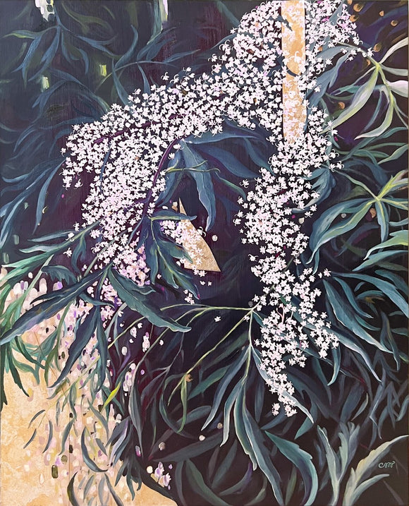 Elderberry
