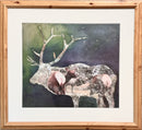 Rocky Mountain Elk III-1