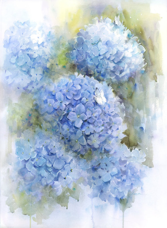 Hydrangea Garden #2