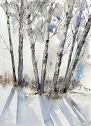 Winter Trees With Shadow #2-1