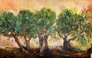 The Silence of Olive Trees-1