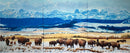 Alberta Foothills-1