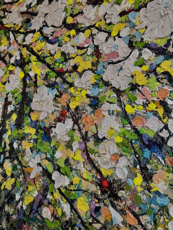 Cherry Blossoms